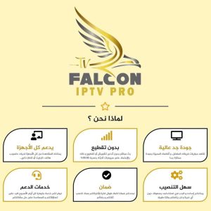 اشتراك فالكون